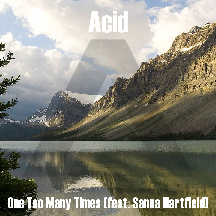 Acid147 - One Too Many Times (feat. Sanna Hartfield)
