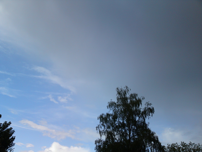 Freasy - Regenwetter