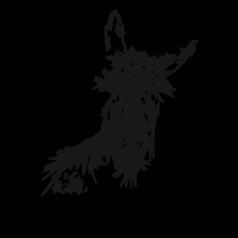 Donkey Dreamwalk - Undressed You