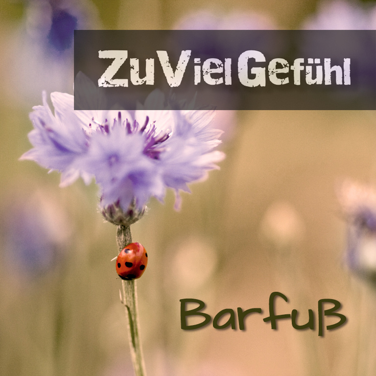 ZuVielGefühl - Barfuß
