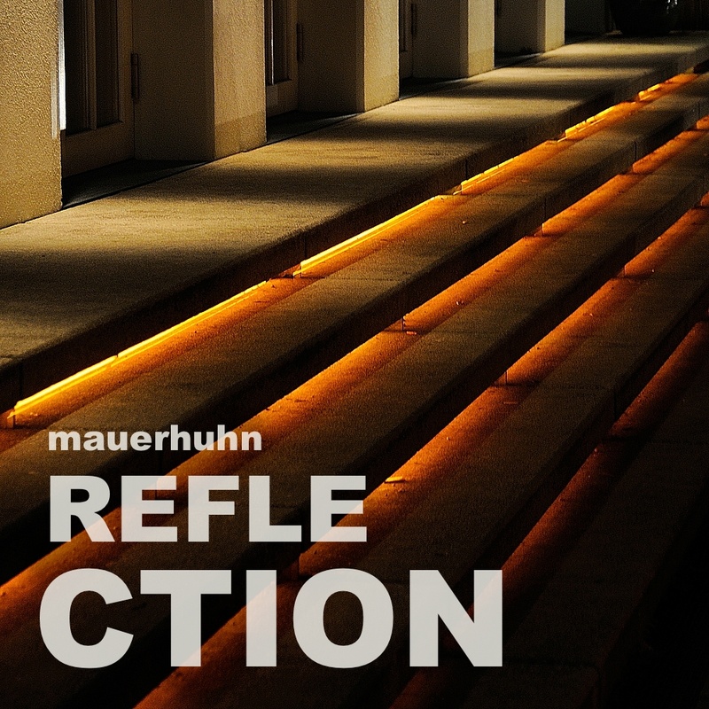 mauerhuhn - Reflection