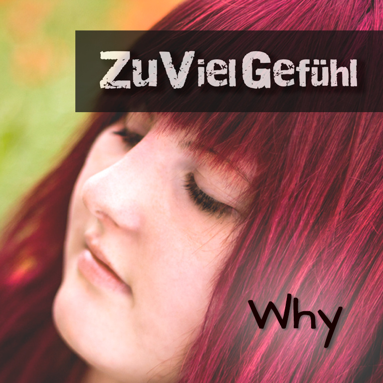 ZuVielGefühl - Why