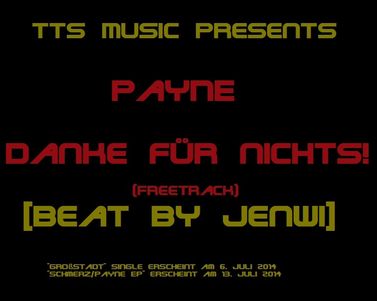 PayNe$$$ - Danke für Nichts! [Beat by JENWi]