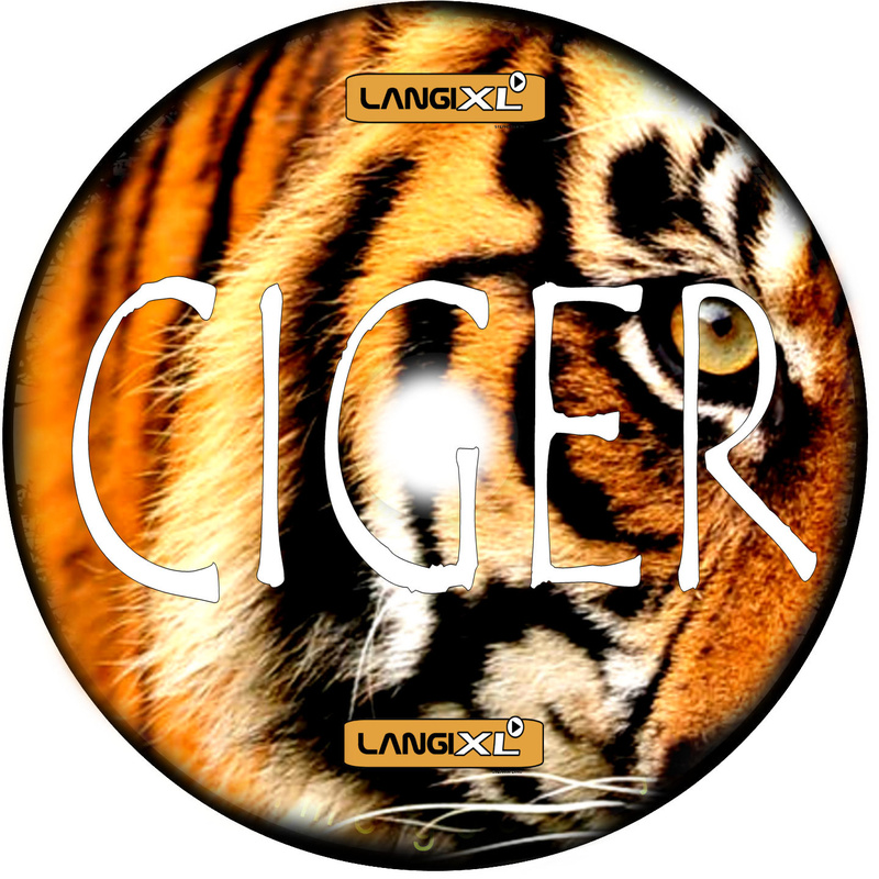 LangiXL - move forward