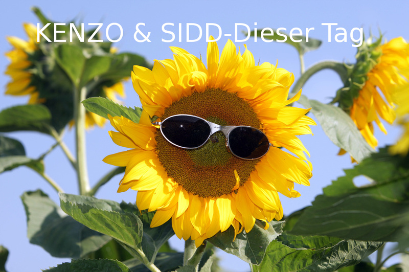 Kenzo Musik - Kenzo&Sidd-Dieser Tag