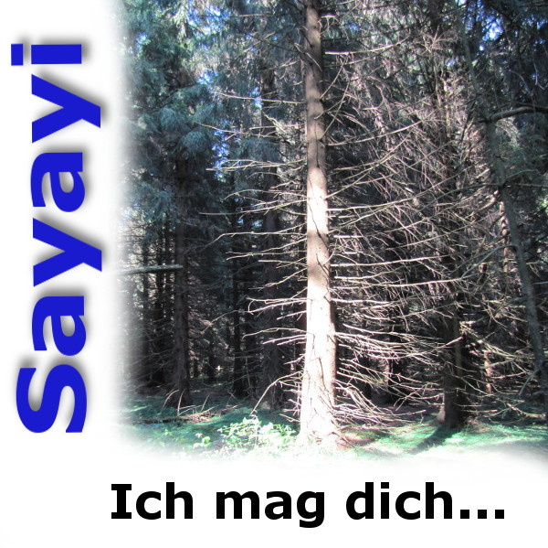 Sayayi - Ich mag dich...