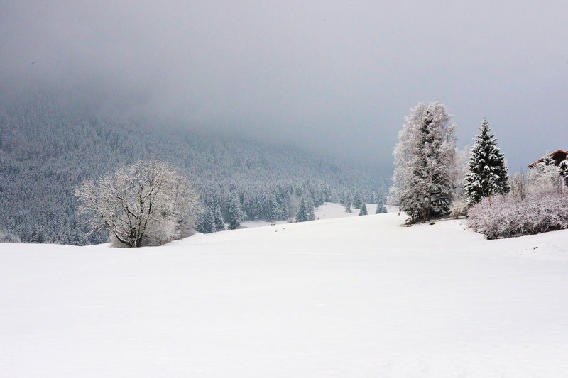 podder - I´m not yet ready....( Piano by Markus Roth)
