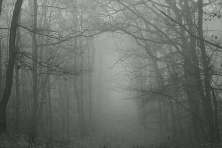 Justin Yoo - Deep Shadows