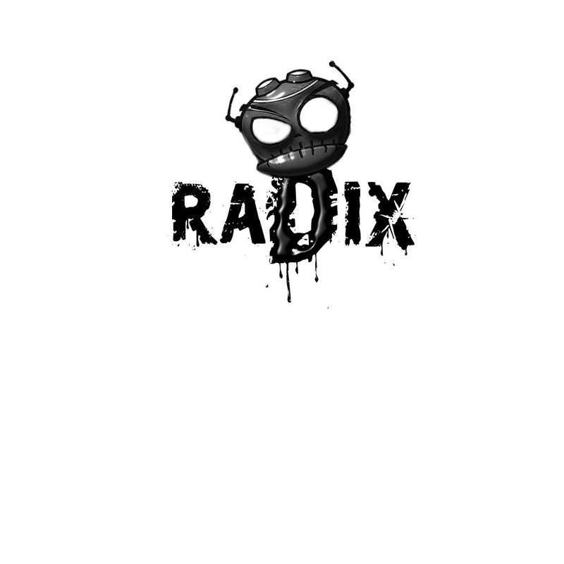 Radix Z - Beginn bei Null