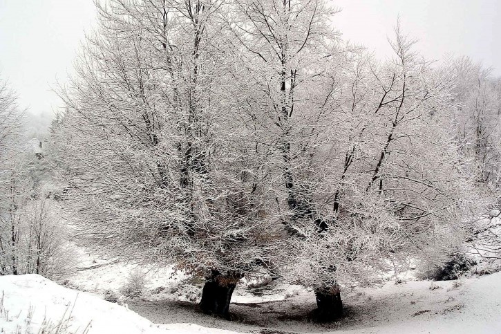 The Raven - 10 Winters