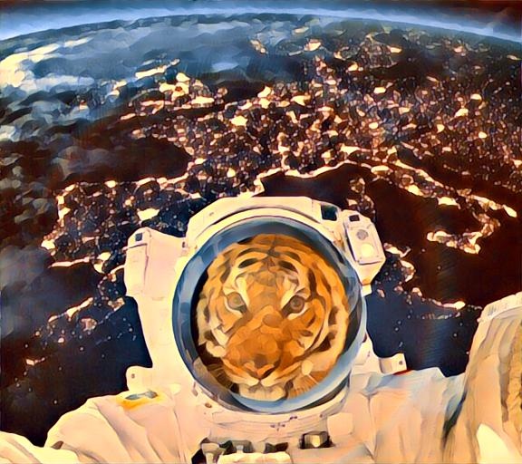 tiger im all - Fata_Morgana