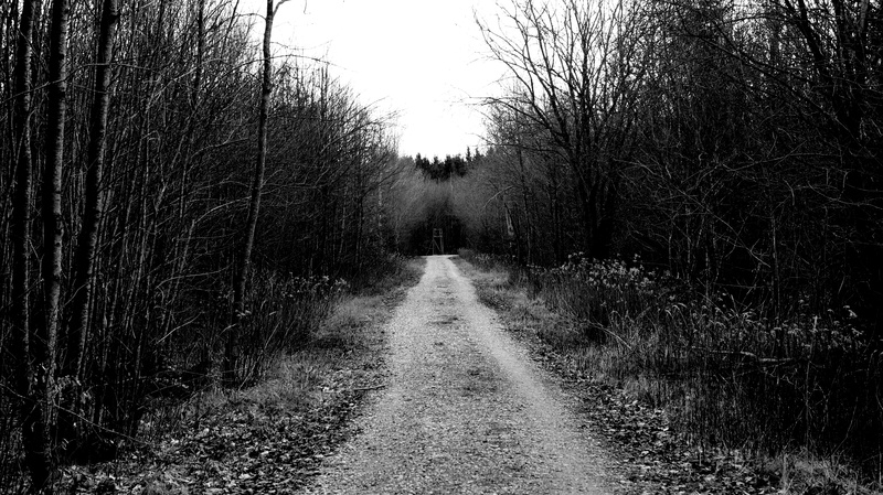 Disreflect - Lovers Lullaby