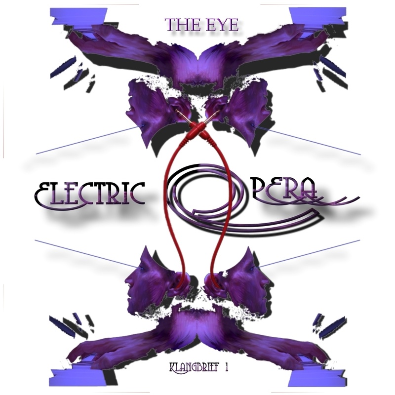 THE EYE - INSECT