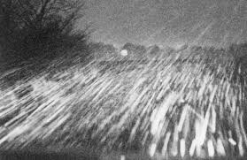 VIVESCO ET SOMNIARE - And all my days are trances