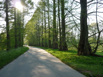 RikeCasper - Endlich Sommer