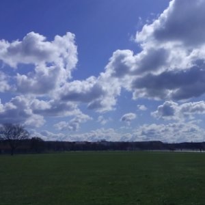 Cup Of Dreams - Clouds