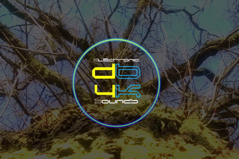 D4BK - Inside Your Brain feat. Sanna Hartfield