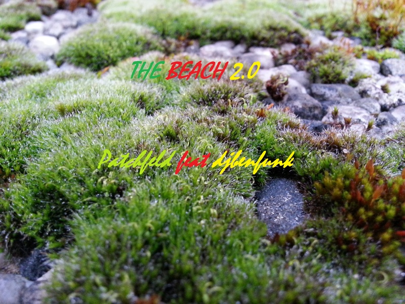 The Beach 2.0 - Patchfeld feat djbenfunk