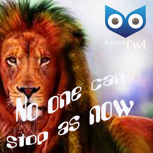 ScreechOwl - No one can stop as now
