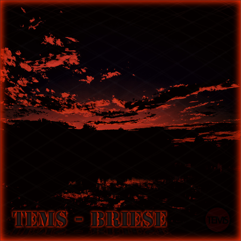 Tems - Briese