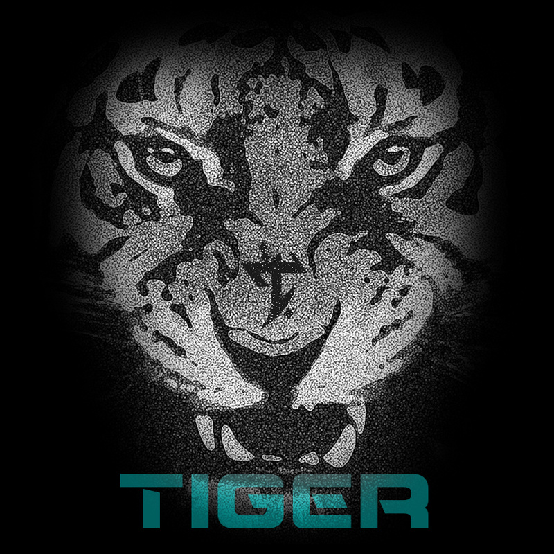 MC Tiger - Fick Dein Abitur