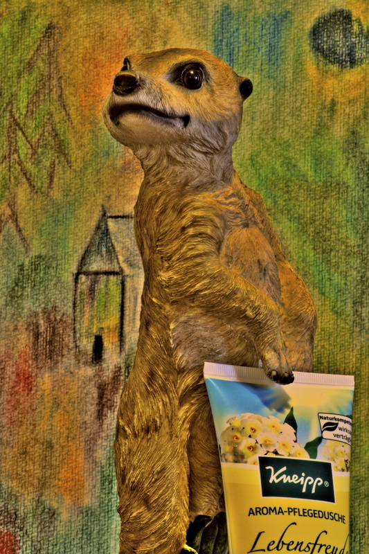 schlempinskys world - waschmanlage