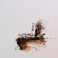 NOT PENNY´s BOAT - The Point