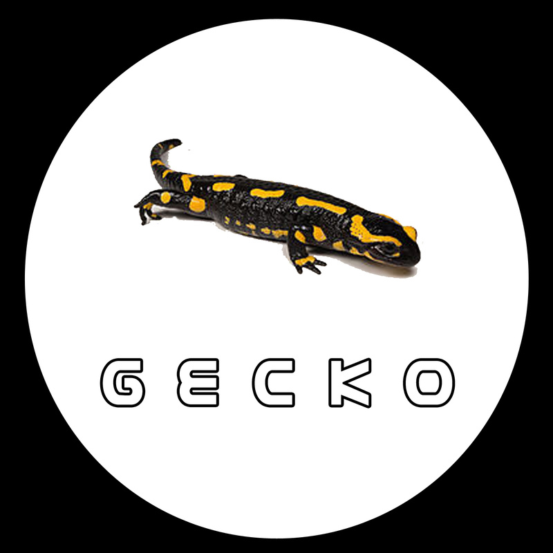 C.A.Y - Gecko
