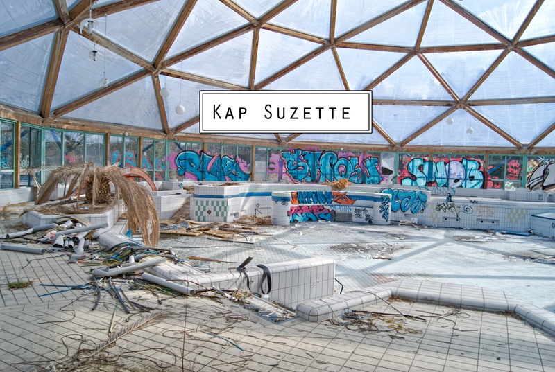 Kap Suzette - Schwäne