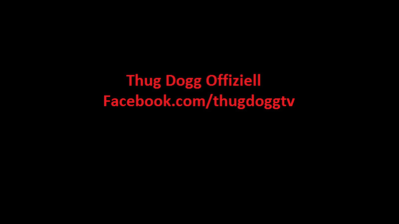 thugdogg - Geht Up