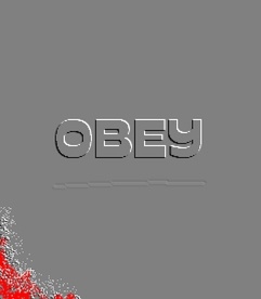 Herr Hoffmann - obey
