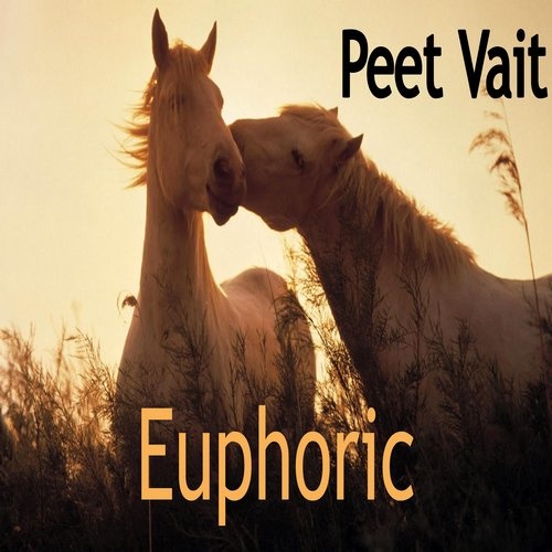 Dj Peet Vait - Euphoric (Original Mix)