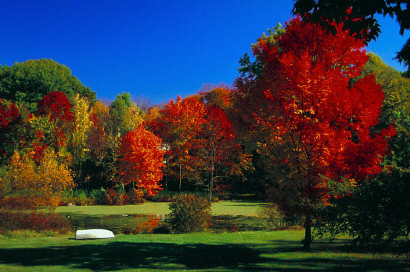 Tradoni - Soon Autumn