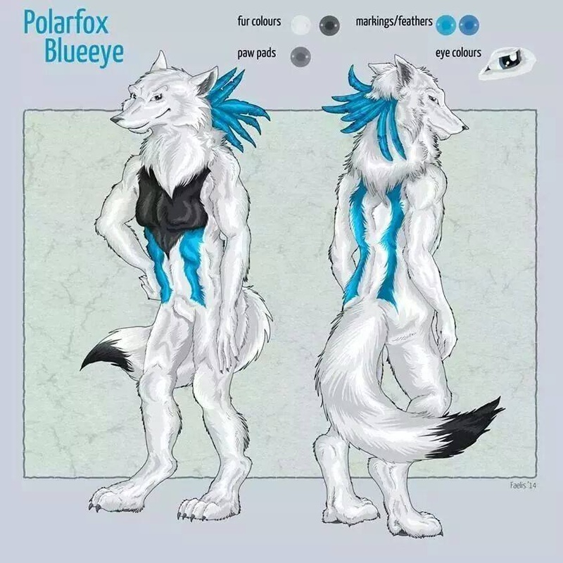 Polarfox-Mia-Blueeye - Polarfox Mia Blueeye