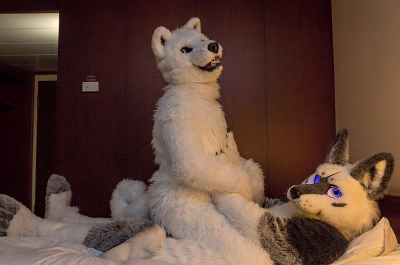 Polarfox-Mia-Blueeye - Eurofurence