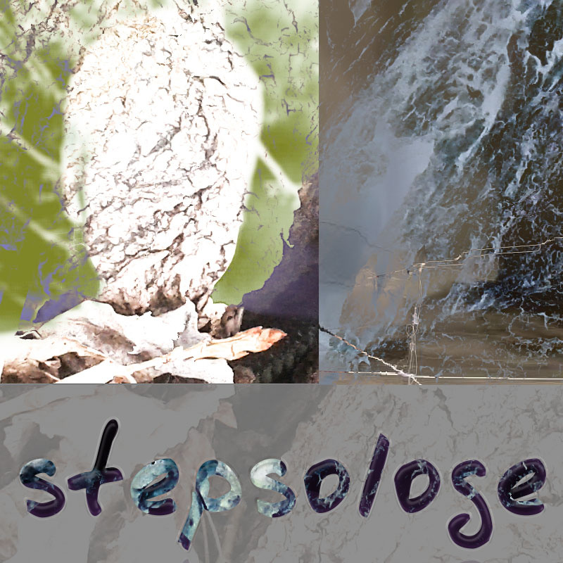 Stepsologe - Cosmic Chimps