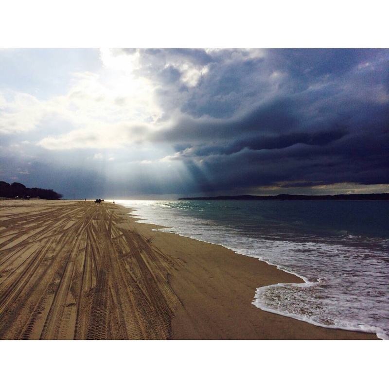 finn - Cloudy days with Ginga