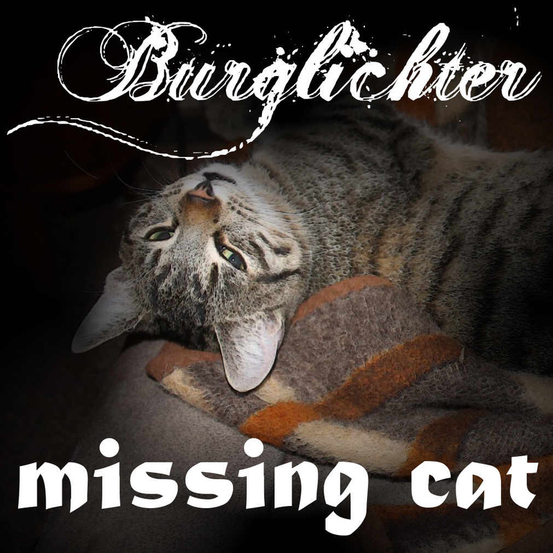Burglichter - Missing cat