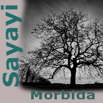 Sayayi - Morbida