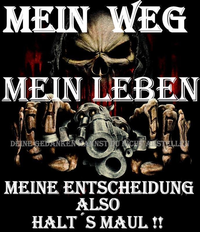 GatoOnE - Anfang vom Ende