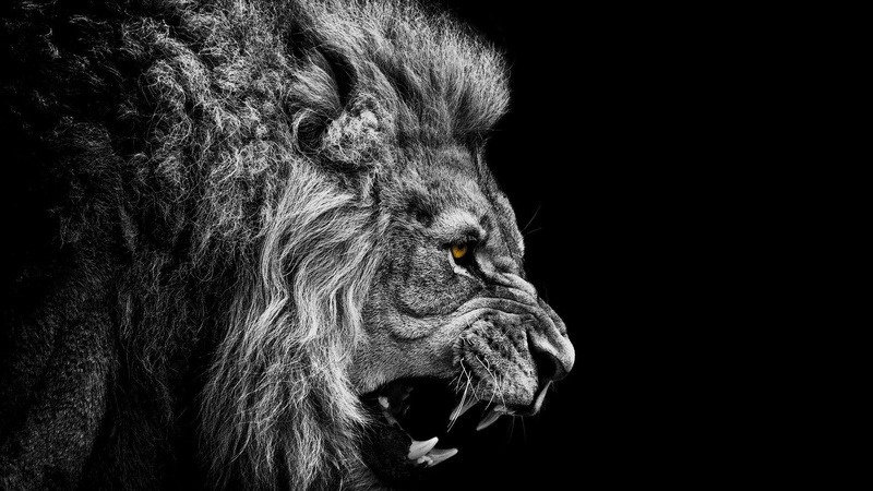 Crecker-Beats - Hip Hop Beat Rap Instrumental New