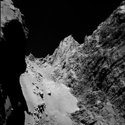 Stepsologe - Panspermia