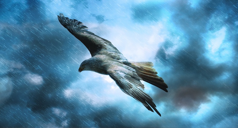 scattery - Silent Wings