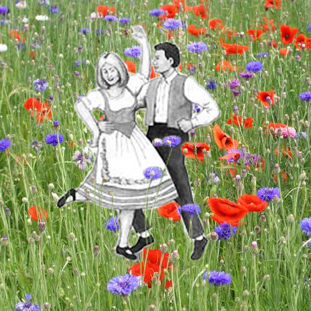 Sebbomophon - Blumenwiesenpolka
