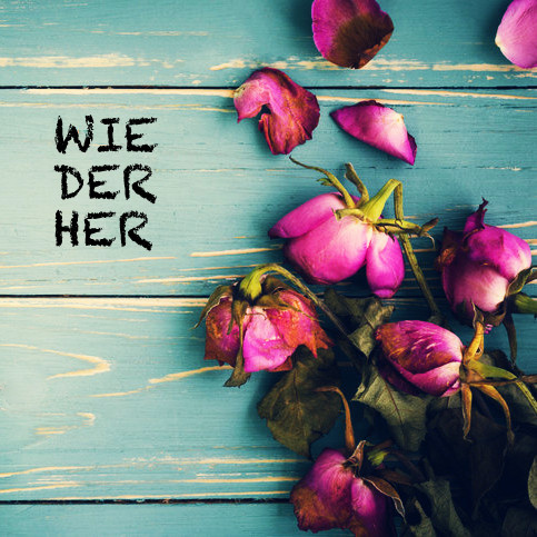 DA3VID - WIEDERHER