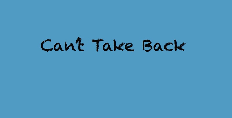 Sebastian Faidt - Can't Take Back