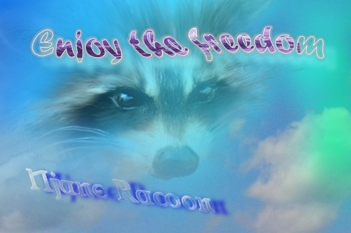 Njane racoon330 - Enjoy the freedom feat J.C.