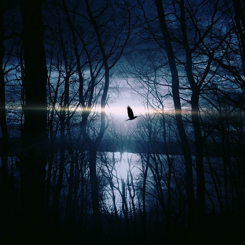 David Isaak - In Moonlight (Ballad of July)