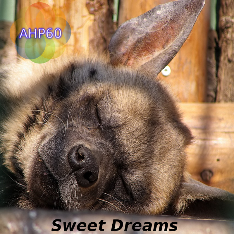 AHP60 - Sweet Dreams
