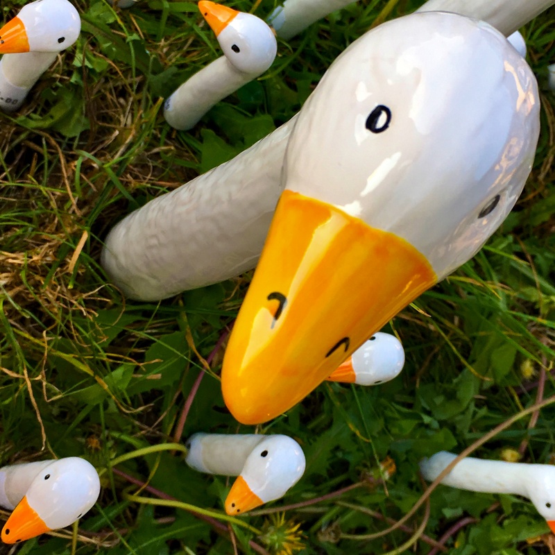 schlempinskys world - der gans & die fuchs